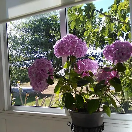 בית נופש Confortable Vivienda De Uso Turistico Con Jardin Pelabravo