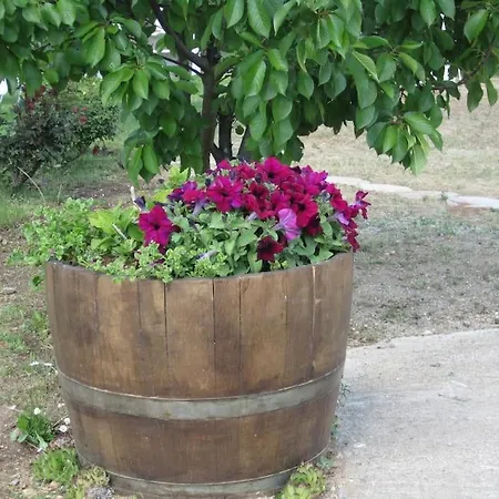 Confortable Vivienda De Uso Turistico Con Jardin בית נופש Pelabravo