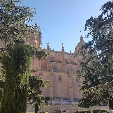 Confortable Vivienda De Uso Turistico Con Jardin Pelabravo